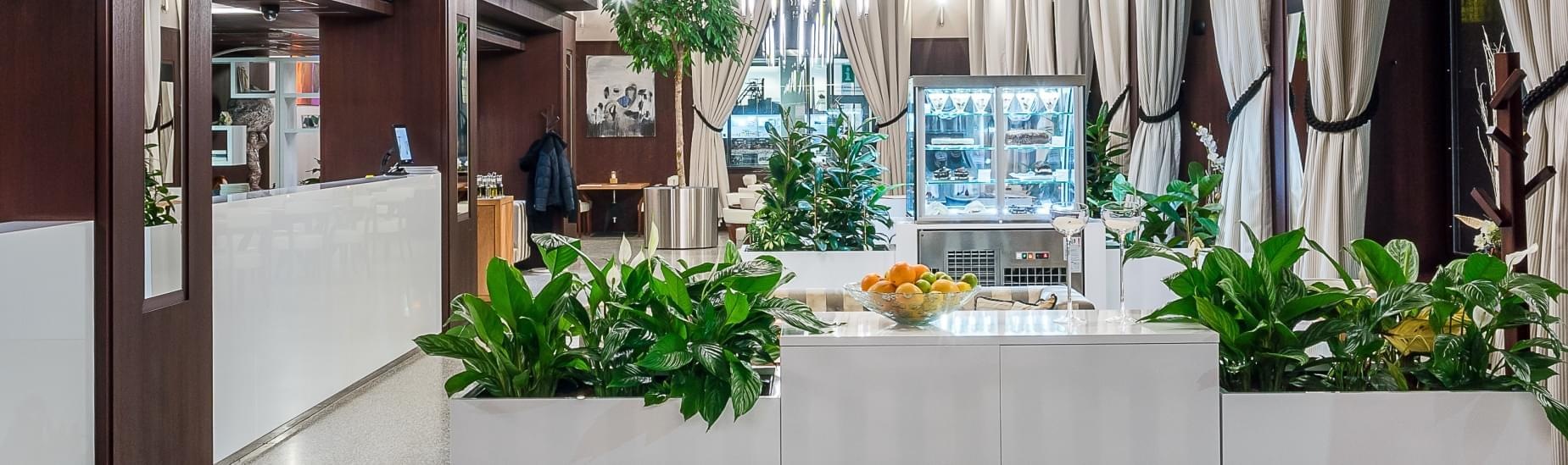 Kontakt Kavárna Elektra